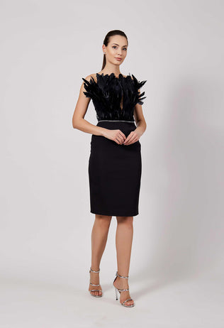 Black Nia evening dress with feathers and rhinestones