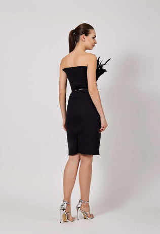 Black Nia evening dress with feathers and rhinestones
